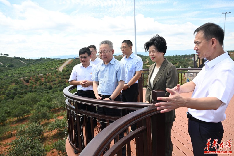 沈晓明在永州调研：强产业优生态促振兴 推动高质量发展迈出更大步伐(图3)
