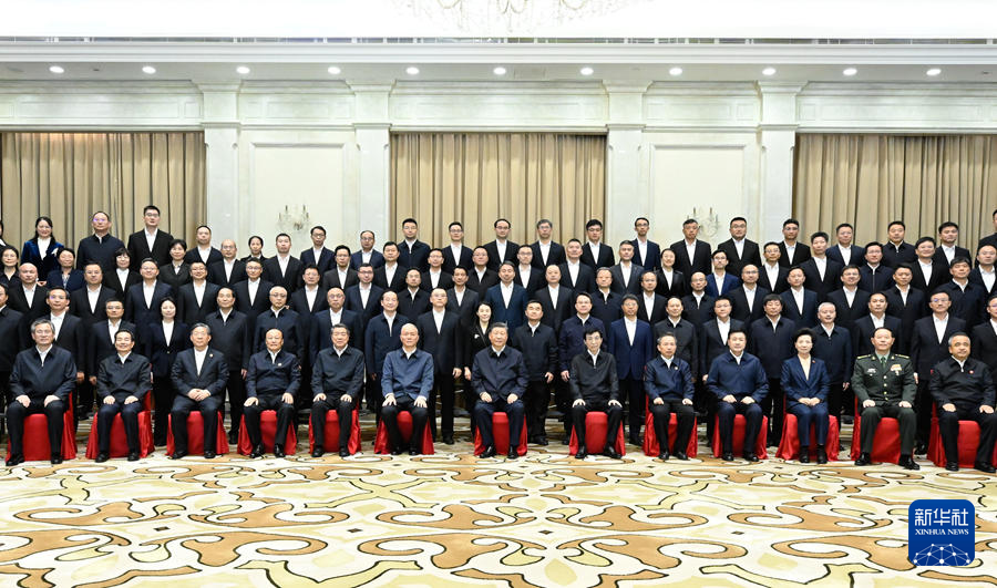 习近平接见新疆各族各界代表(图6)