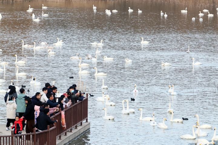 新华社北京3月2日电 《习近平总书记率领打赢脱贫攻坚战》一书近日由中共中央党校出版社出版，在全国发行。(图7)