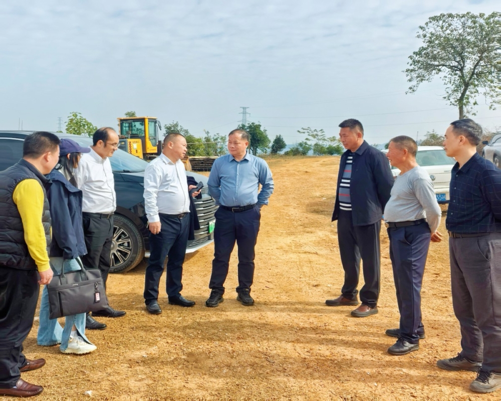 禹向群到乡村振兴帮扶村调研